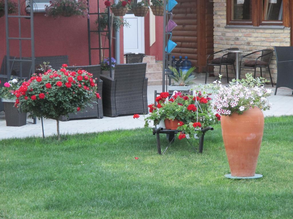 Vila Boska Palić Esterno foto