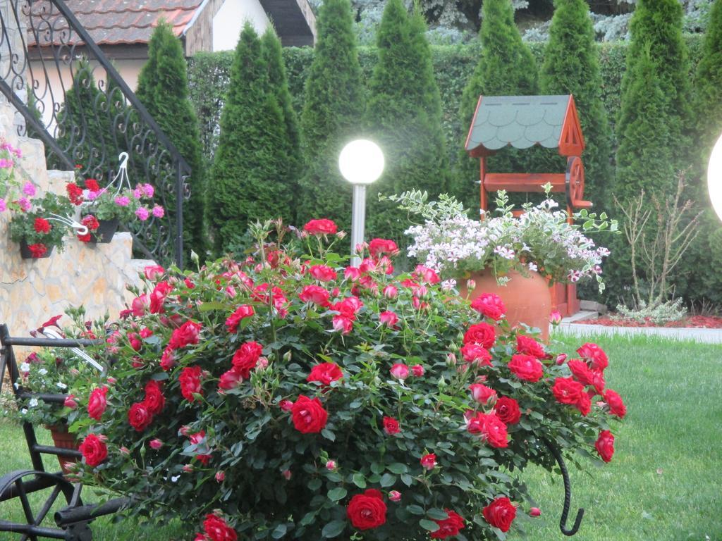 Vila Boska Palić Esterno foto